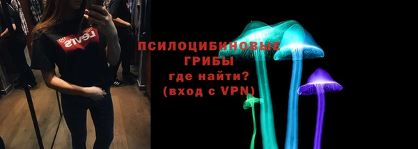 индика Магадан