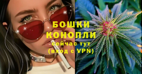 гашик Теберда