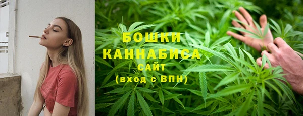 индика Магадан