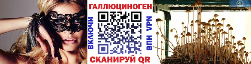 хочу   KRAKEN как зайти  Галлюциногенные грибы GOLDEN TEACHER  Тамбов 
