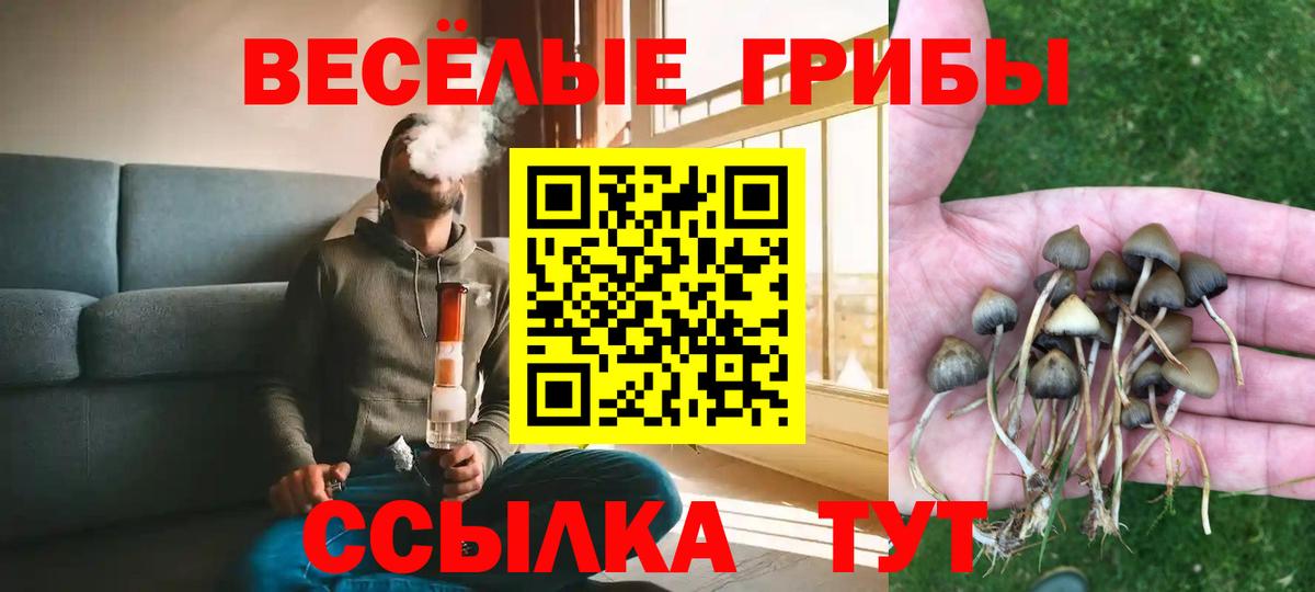 Галлюциногенные грибы Magic Shrooms Тамбов