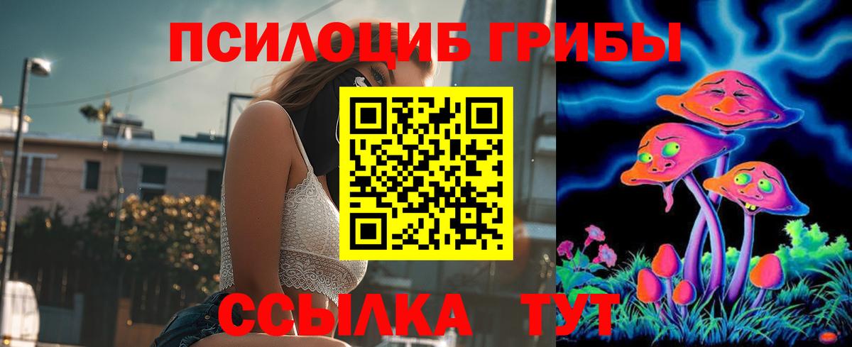 Тамбов  Псилоцибиновые грибы GOLDEN TEACHER  Вход с VPN 